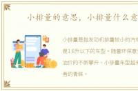 小排量的意思，小排量什么意思