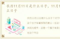 农历11月11日是什么日子，11月11日是什么日子