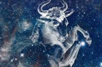 金牛座晚年最爱的星座？ 最爱金牛座的星座