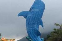 珠海长隆哪个景点最好玩？ 珠海长隆