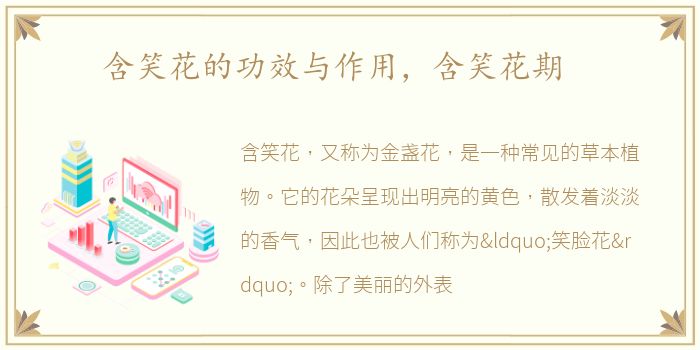 含笑花的功效与作用，含笑花期