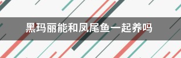 t01059ad39a030c81c8.png