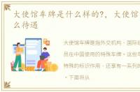 大使馆车牌是什么样的?，大使馆车牌有什么待遇