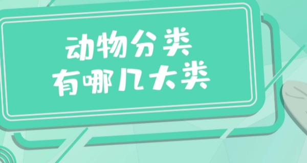 t01a7fb59776ba25688.png