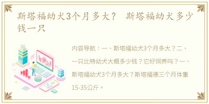 斯塔福幼犬3个月多大？ 斯塔福幼犬多少钱一只