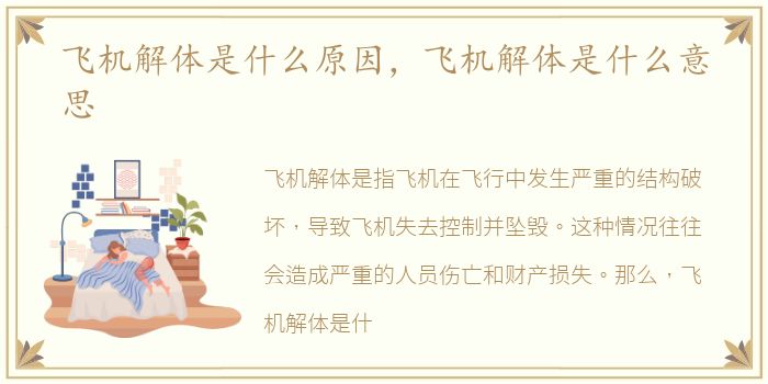 飞机解体是什么原因，飞机解体是什么意思