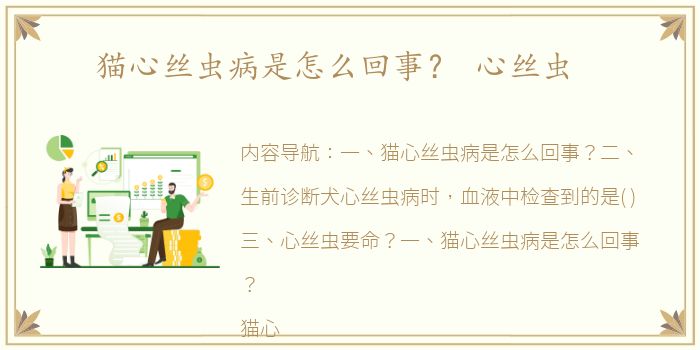 猫心丝虫病是怎么回事？ 心丝虫