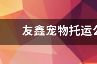 能告诉我，宠物怎么托运寄回家么？ 宠物公司托运