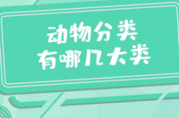 动物种类怎么区分？ 动物分类