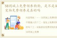 58同城上免费领养狗狗，是不是骗人的？ 宠物免费领养是真的吗