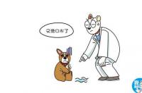 人得了狂犬病有什么症状？ 狂犬病症状有哪些