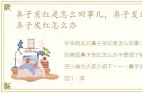 鼻子发红是怎么回事儿，鼻子发红的原因鼻子发红怎么办