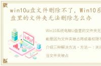 win10u盘文件删除不了，Win10系统电脑U盘里的文件夹无法删除怎么办