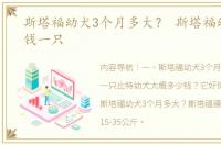 斯塔福幼犬3个月多大？ 斯塔福幼犬多少钱一只