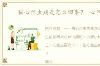 猫心丝虫病是怎么回事？ 心丝虫