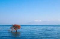 洱海必去景点？ 洱海旅游攻略必去景点