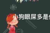 眼屎多是怎么回事？ 眼屎多什么原因