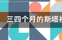 一只比特幼犬大概多少钱？它好饲养吗？ 斯塔福犬幼犬价格