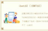 ibmt60（IBMT60）