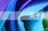 关于藏獒的电影有哪些？ 关于藏獒的电影