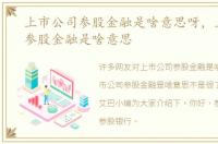 上市公司参股金融是啥意思呀，上市公司参股金融是啥意思