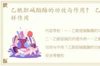 乙酰胆碱酯酶的功效与作用？ 乙酰胆碱m样作用