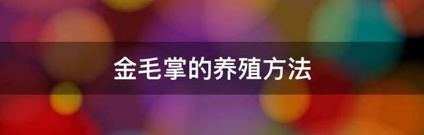 t01c7057e18191b728d.jpg