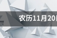 2021年阳历11月20号是什么星座？ 农历11月20日是什么星座的