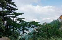 九华山游玩攻略最佳路线？ 九华山旅游攻略一日游最佳线路