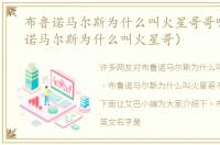 布鲁诺马尔斯为什么叫火星哥哥呢（布鲁诺马尔斯为什么叫火星哥）