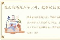 猛禽的油耗是多少升，猛禽的油耗是多少