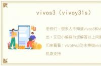 vivos3（vivoy31s）