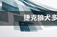 捷克狼犬是什么品种？ 纯种捷克狼犬