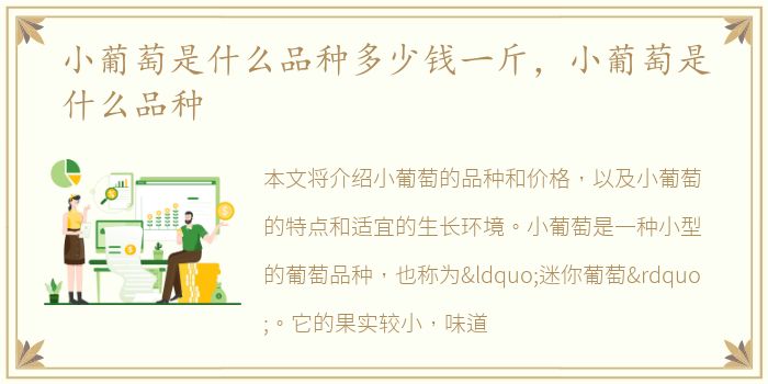 小葡萄是什么品种多少钱一斤，小葡萄是什么品种