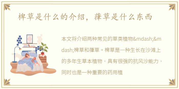 椑草是什么的介绍，葎草是什么东西