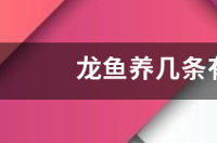 一米2点缸，龙鱼一般养几条，跟什么鱼养在一起好？ 龙鱼养几条最好风水学