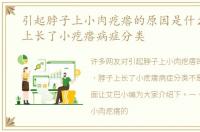 引起脖子上小肉疙瘩的原因是什么，脖子上长了小疙瘩病症分类