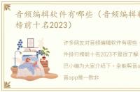音频编辑软件有哪些（音频编辑软件排行榜前十名2023）
