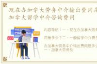 现在办加拿大劳务中介输出费用是多少？ 加拿大留学中介咨询费用