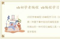 vb初学者编程 vb编程学习