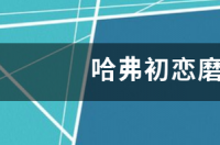 哈弗初恋磨合期油耗？ 哈弗初恋油耗