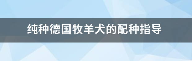 t019ecc91449446f46e.png