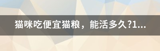 t01c024f7f6ee784a38.png