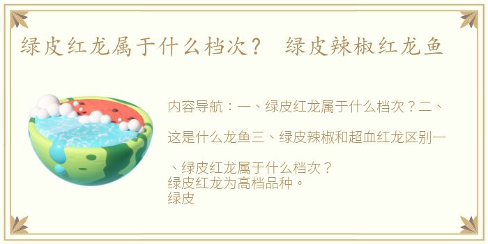 绿皮红龙属于什么档次？ 绿皮辣椒红龙鱼