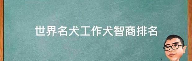 t013cd6585d338efbce.jpg