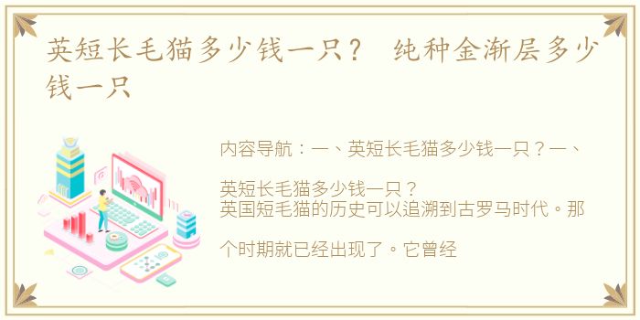 英短长毛猫多少钱一只？ 纯种金渐层多少钱一只