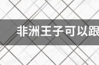 非洲太子鱼能和什么鱼一起养？ 非洲王子鱼和什么鱼混养