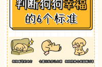 判断狗狗幸福的6个标准！ 诊断狗狂犬六个标准