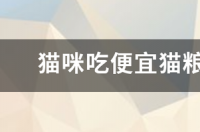 各位铲屎官们，你们每个月买猫粮要多少钱？ 猫粮最便宜多少钱一袋