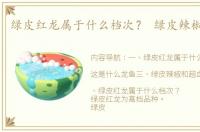 绿皮红龙属于什么档次？ 绿皮辣椒红龙鱼